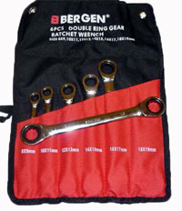 6PC. DOUBLE RING RATCHET SPANNERS WRENCH SET 8-19MM