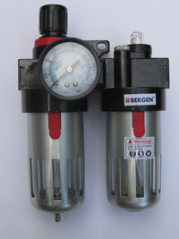 BERGEN 1/4" FRL UNIT
