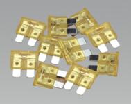 Fuse 20Amp for SuperCharge40/1 Pack of 10 (List Price £10.95 exc VAT) 120/802257