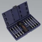 Ratchet Nut Driver Set 10pc (List Price £49.95 exc VAT) AK4919