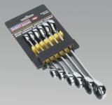 Ratchet Double End Ring Spanner Set 6pc Metric (List Price £89.95 exc VAT) AK6383